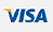 Visa Card Logo